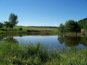 Unmittelbare Umgebung Naturschutzgebiet Linker See